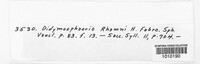 Didymosphaeria rhamni image